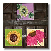 Karen Ives - Gazania, Helianthus & Passiflora